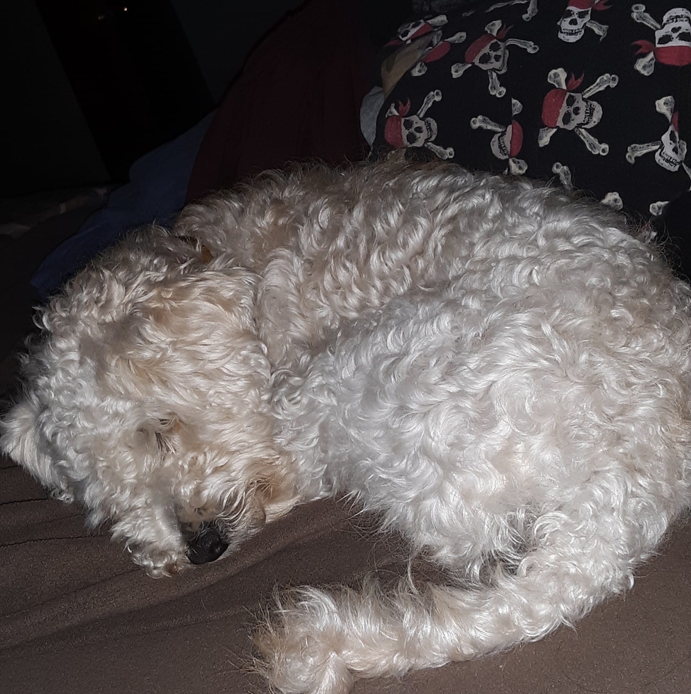 Meet your Posher, Sharon